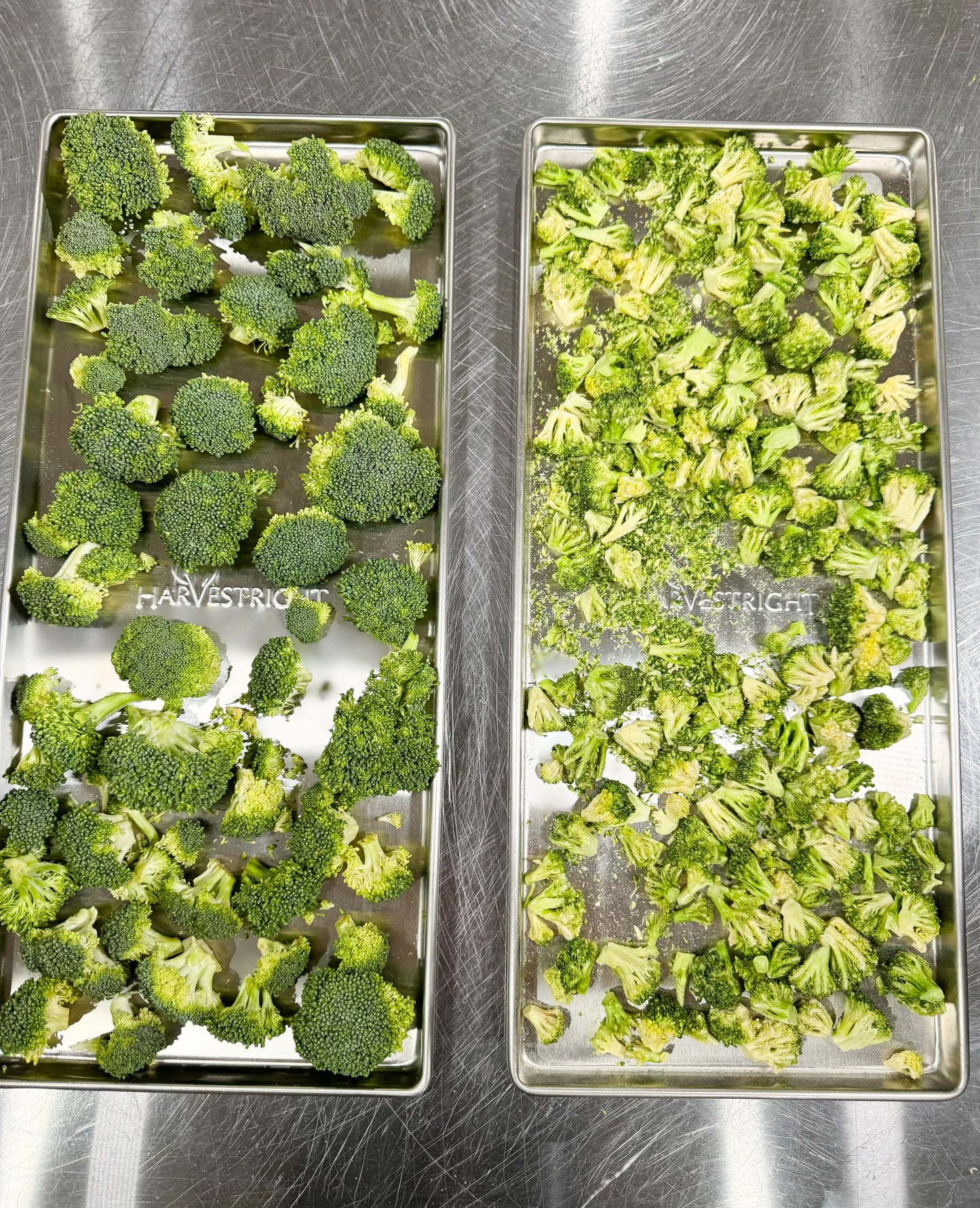 Freeze Dried Broccoli