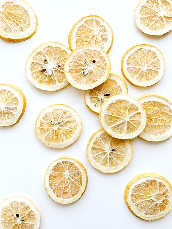 Freeze Dried Lemon Slices - 10 Pack Special
