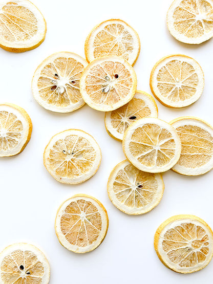 Freeze Dried Lemon Slices - 10 Pack Special